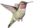 Website Preloader