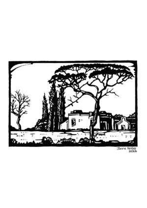 African Landscape 1