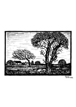 African Landscape 2