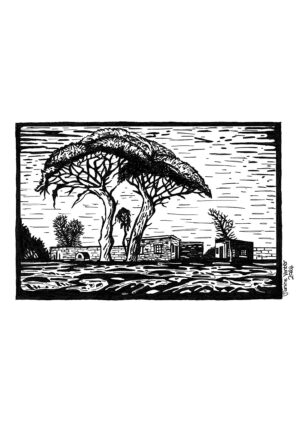 African Landscape 3