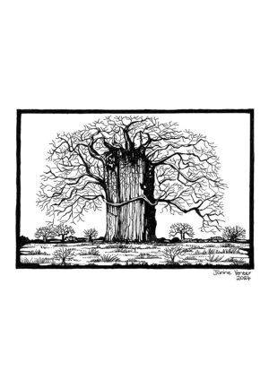 African Landscape 4