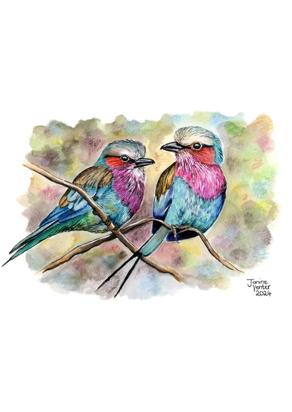 Lilac-breasted Rollers